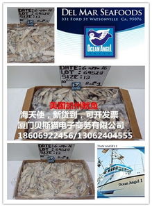 美國(guó)加州魷魚與海天使 電子商務(wù)的新藍(lán)海